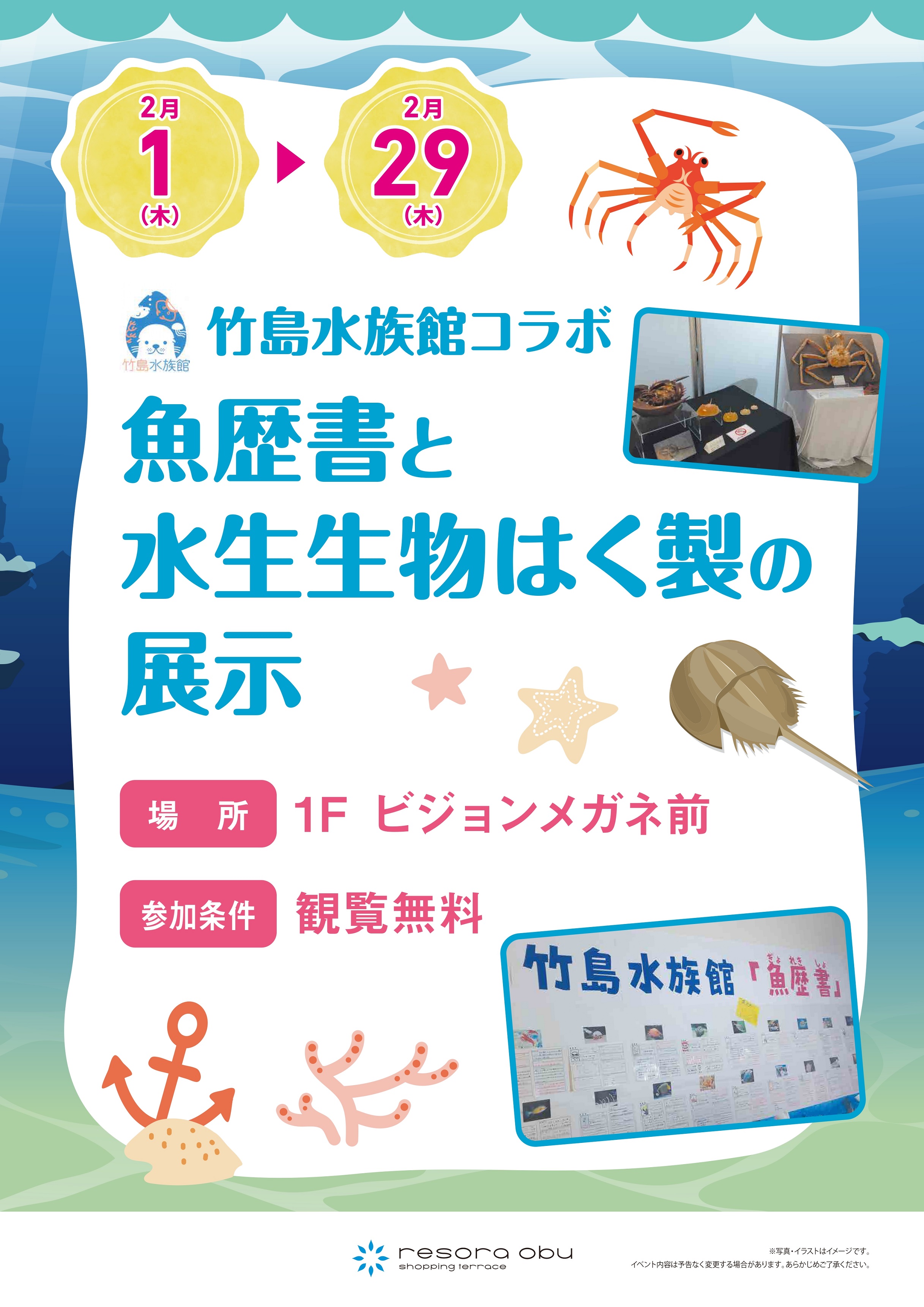 竹島水族館マンスリーコラボ　魚歴書と水生生物はく製の展示