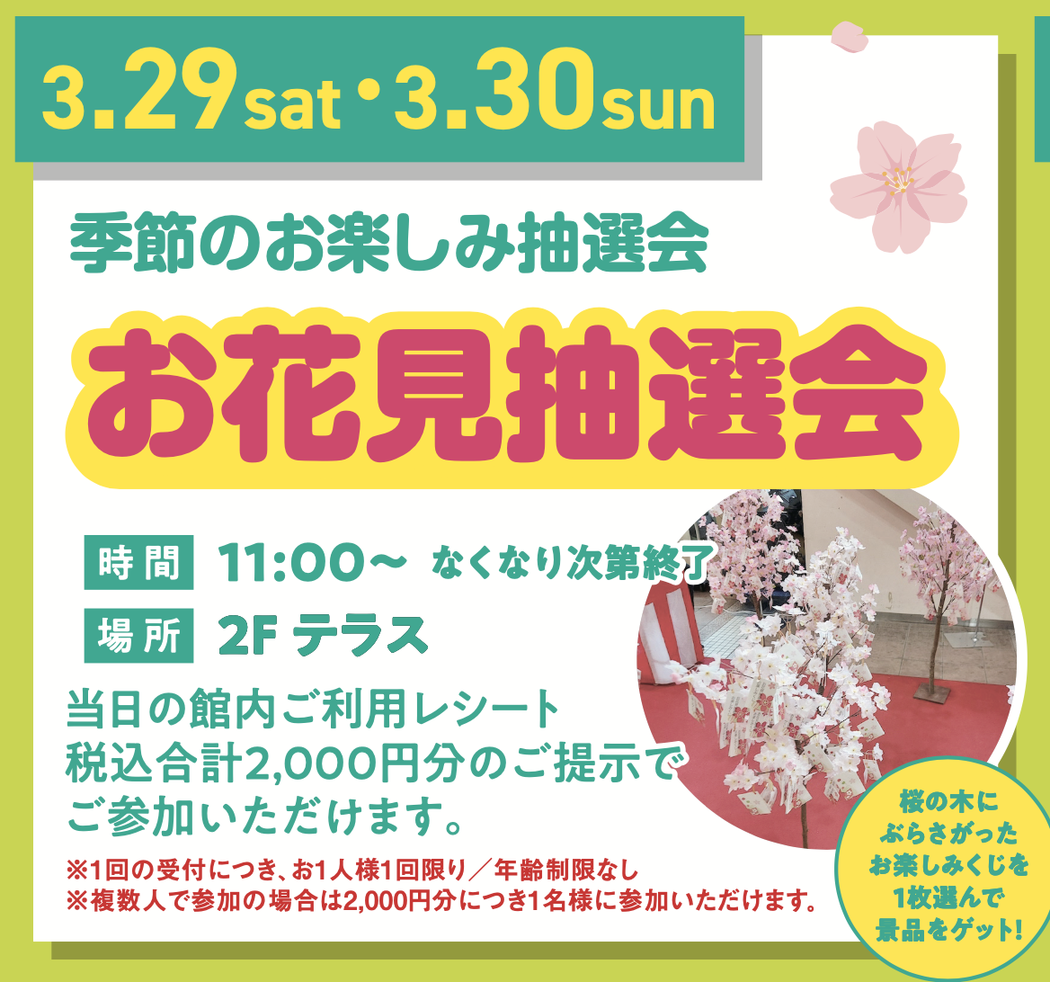 お花見抽選会