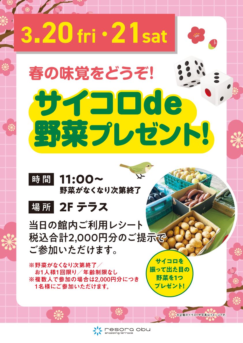 サイコロde野菜プレゼント！